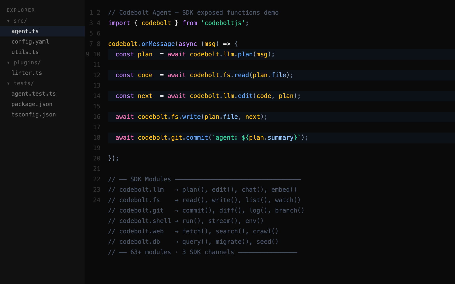 Codebolt Agent SDK TypeScript editor example